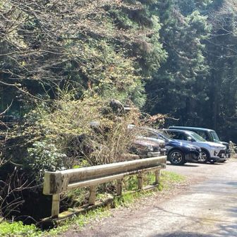 第一駐車場出発時は一台でしたが戻ると5台