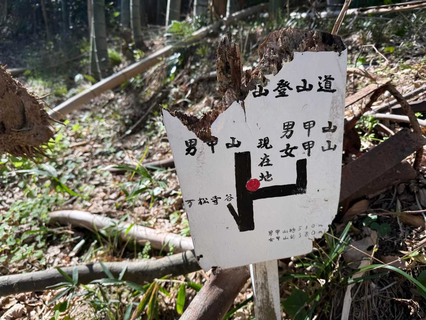私達は雌甲山と雄甲山の両方に行くので右へ