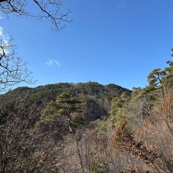 大峰山
大峰城の屋根がちょこっと見える。