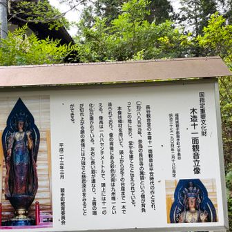 国定指定文化財のという十一面観音は蔵に保管されているようで😅