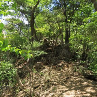 奥の院峰へ向かいます