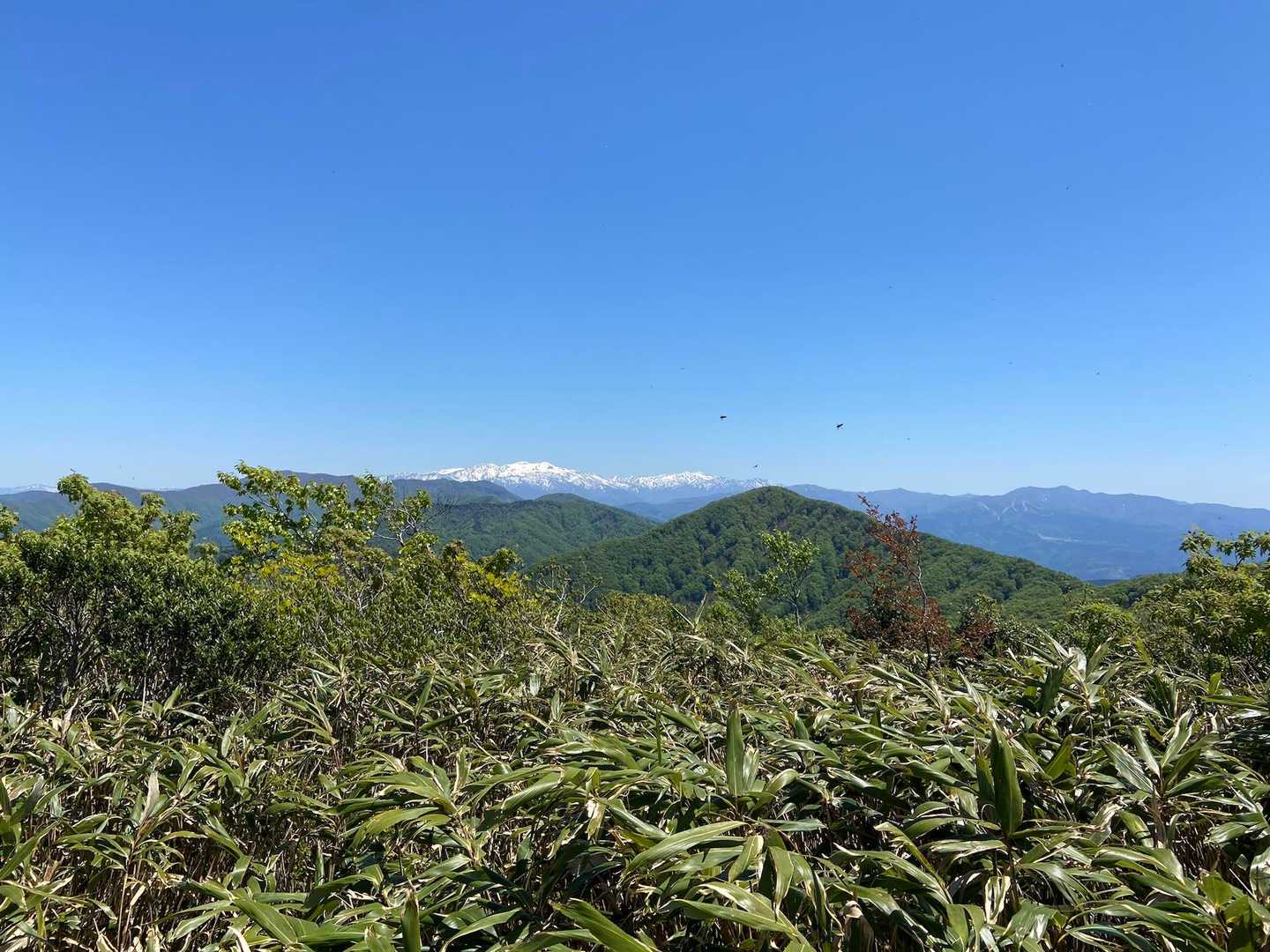 ここからも白山みえる✨