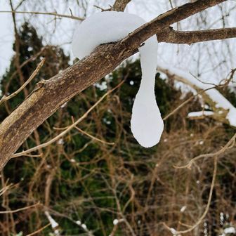 ねばり雪が雪紐（ゆきひも）になっています。