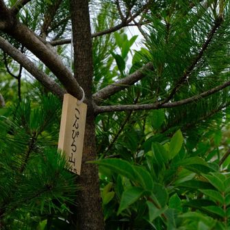 山頂の岩場は急傾斜で要注意です。