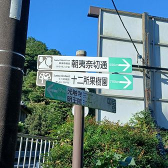 ここまでやって来たぞ
