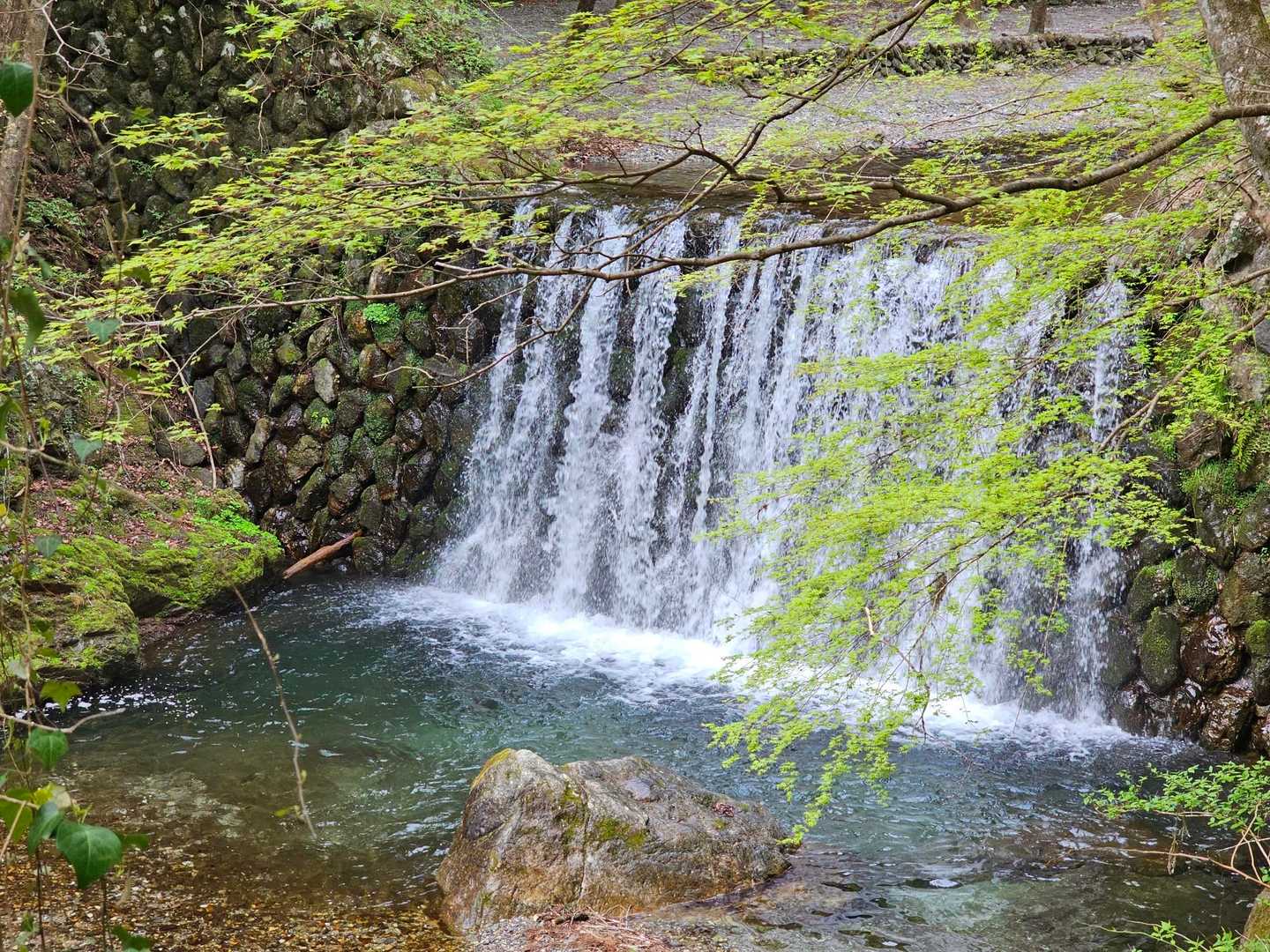 水がキレイなのよ〜