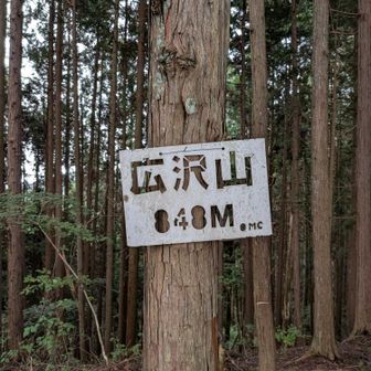 ここまでくれば道穏やかなり
