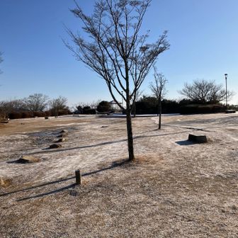 掬星台も冷んやり静かな朝。