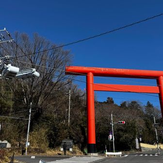 朝より綺麗な鳥居でゴール！