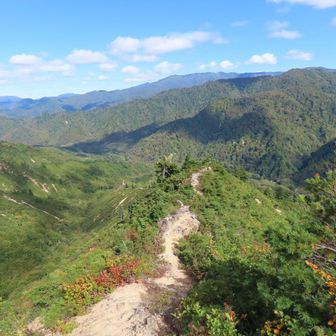 あと1時間くらいかな

この絶景の痩せ尾根もなんか良いよね
あんまり他の山にはない感じ👍

あ、、、そろそろじゃないか🐝⋆*。🤨
