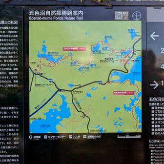 桧原湖側から五色沼を散策🚶‍♂️
