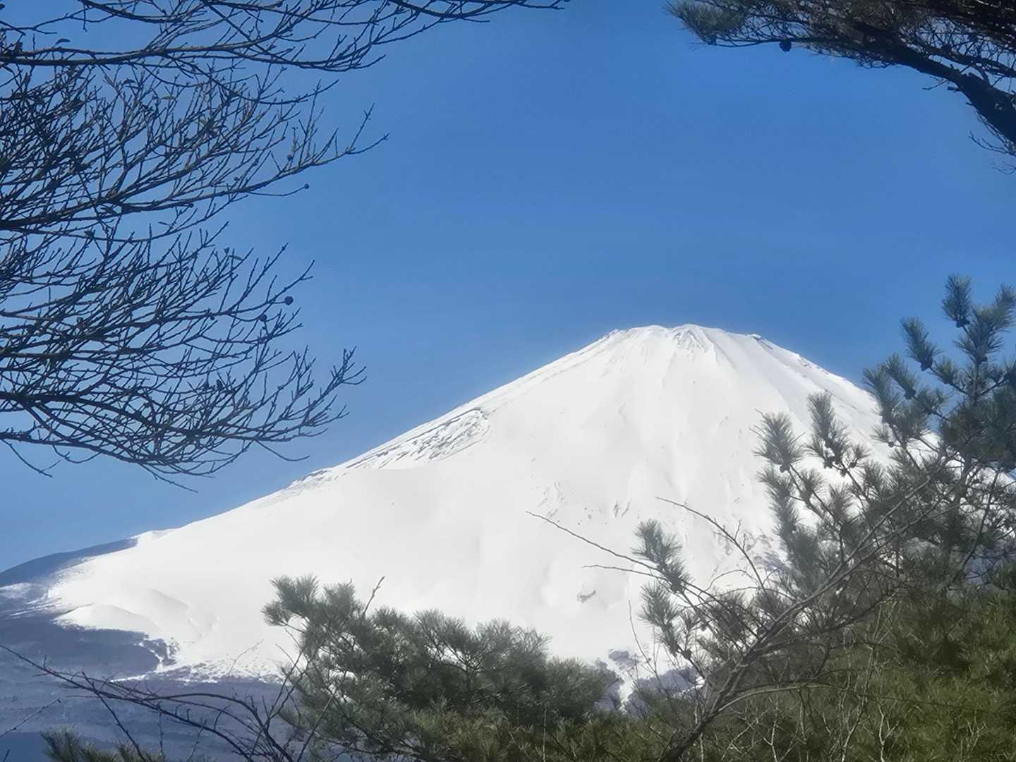 分岐を少し違う方へ行ってみた