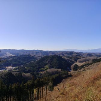 全然わからないけど