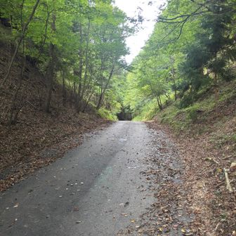 あとはここを歩いて車に戻るだけ