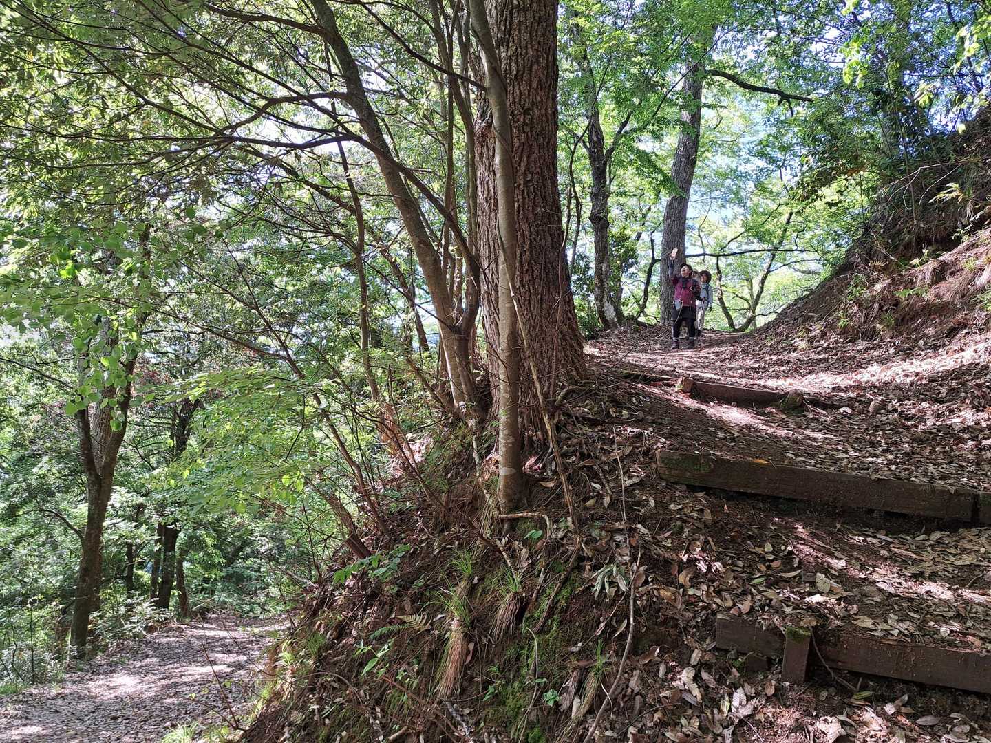 こんな九十九折の山道でした🎶