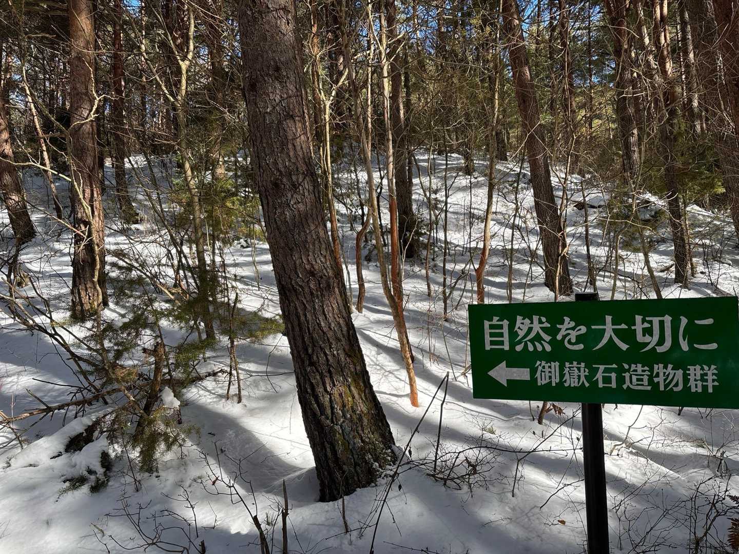 スノーシューを背負ってチェーンスパイクで


途中こちらから御嶽山へ



足も歩幅も大きいおひとりさまトレース👣
ありがとうございます♪

めーいっぱい大股でついて行く♪
