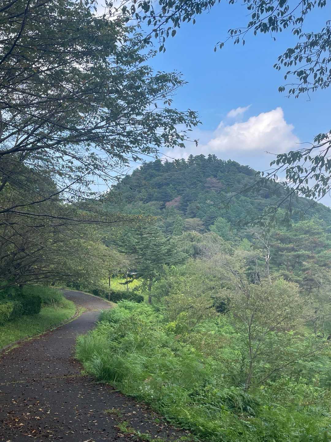 正面に見える山は
今朝登った愛宕山😊

すっかりお天気回復してますね(*´∇｀*)