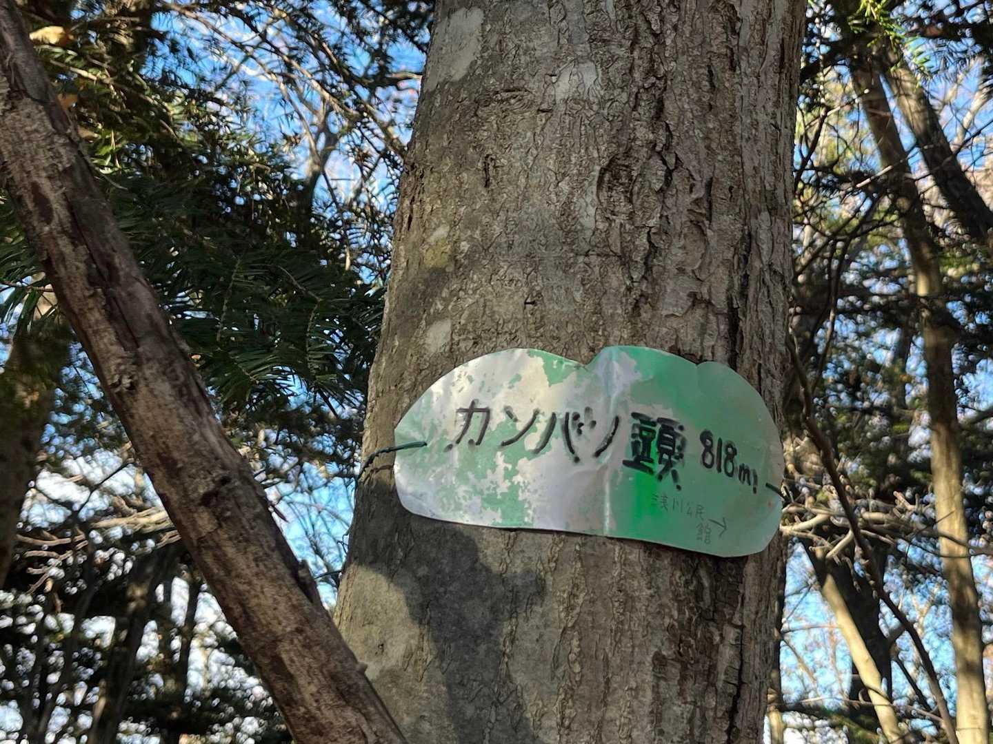 ガンバッて！みたいなとこ。
そうです、今度は激降りつづき🤣