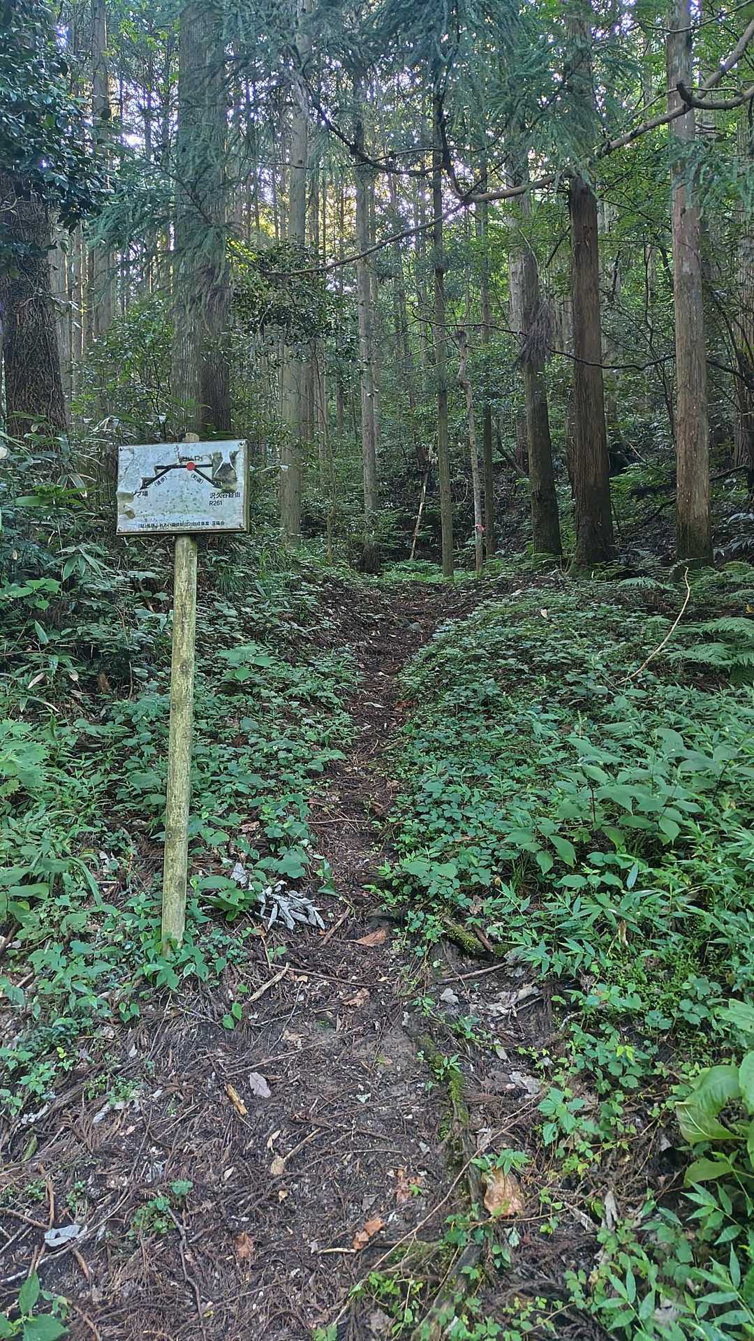登山口こちらから〜