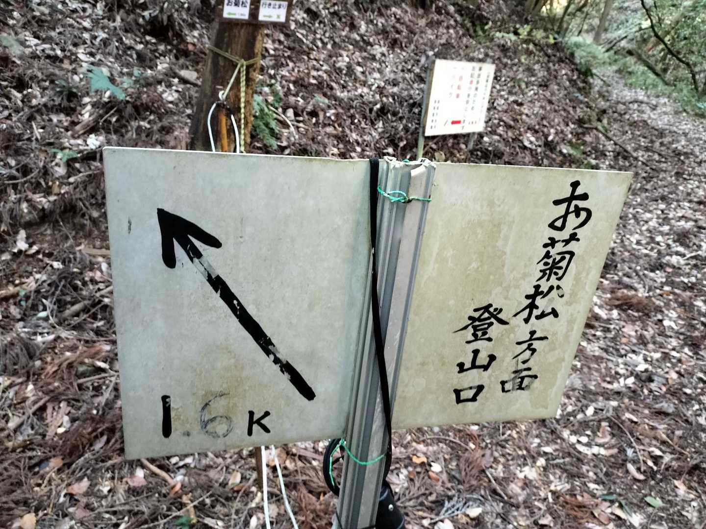 ここから1.6km
