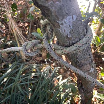 グローブヒッチ（まき結び）でロープに張りを作る