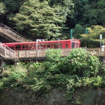 トロッコ列車が来ました🚃