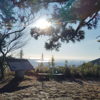 海が見えてきた