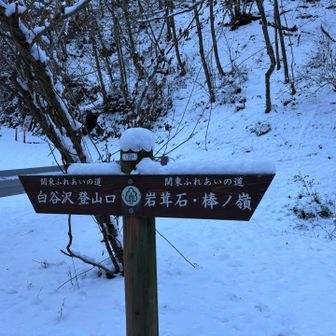 林道出合い。ここからチェーンスパ