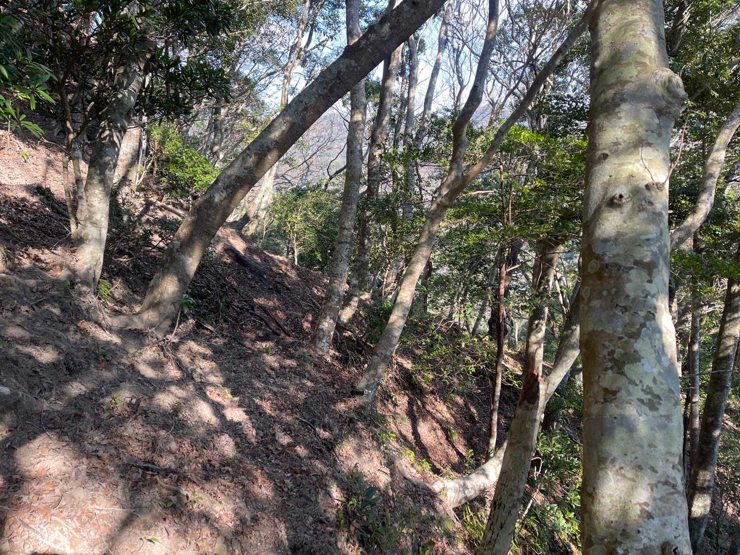 無事ルートへ戻れました。
