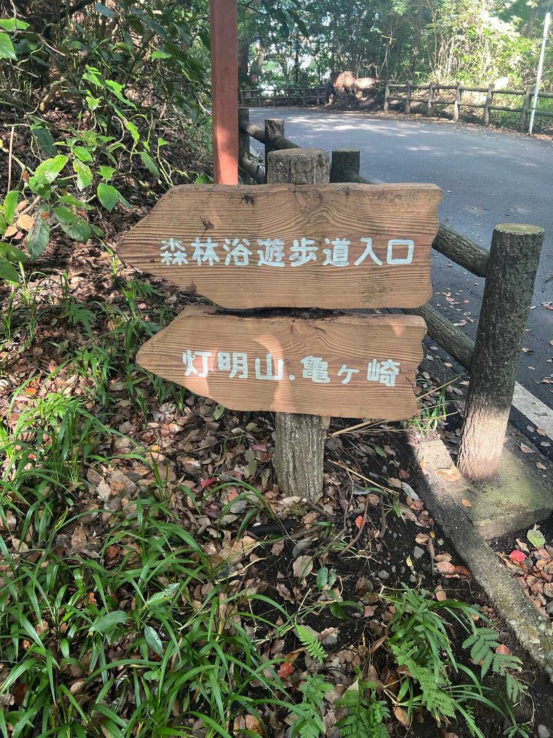 灯明山 往復コースの写真