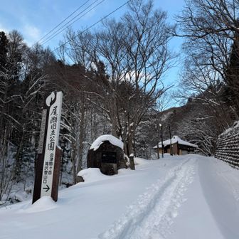 バッチリトレース