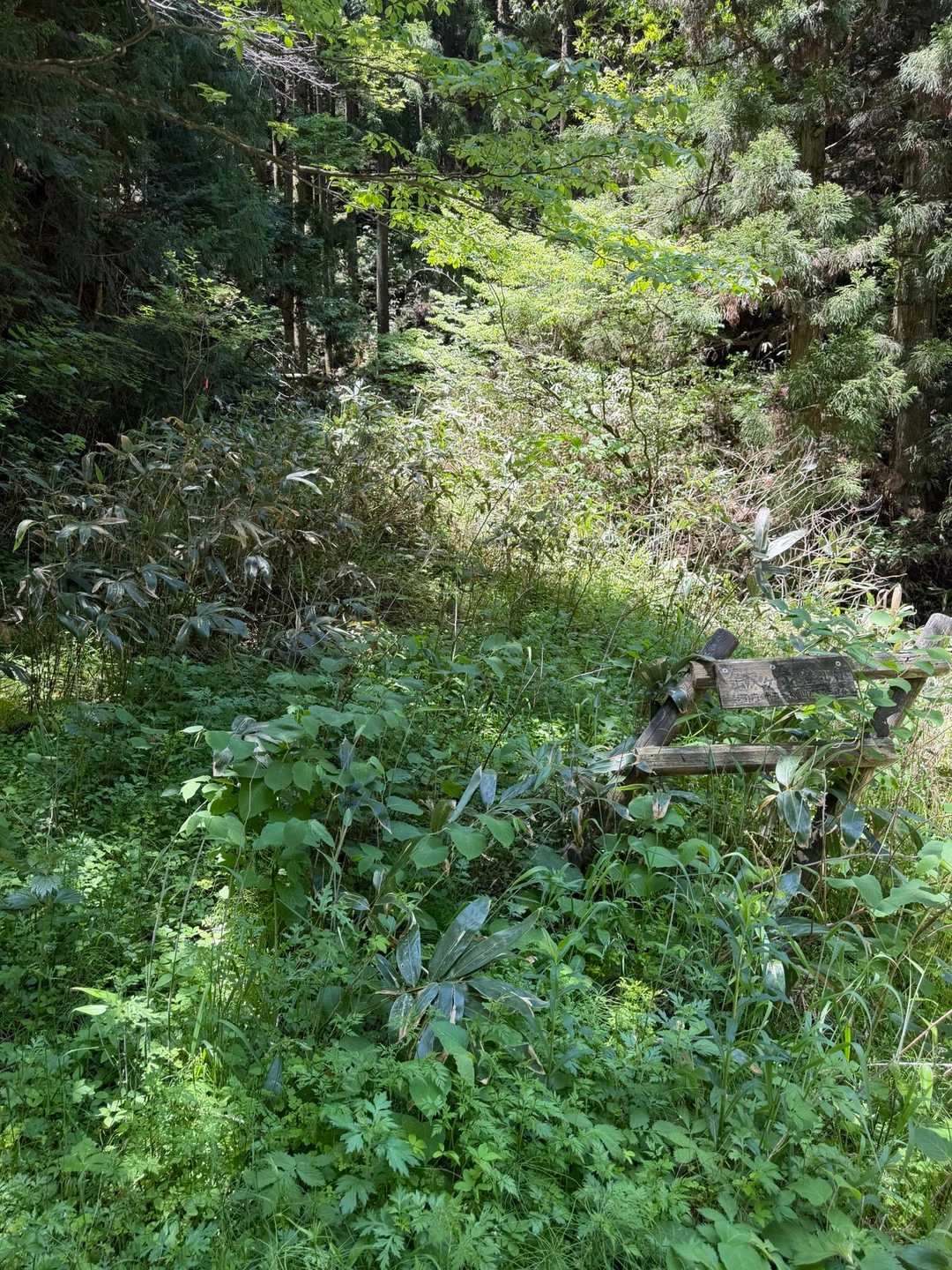 登山口の看板が、ロハンさんの言われるように、＃になっている。年季を感じさせるとともに、整備の必要性が感じられる・・・。