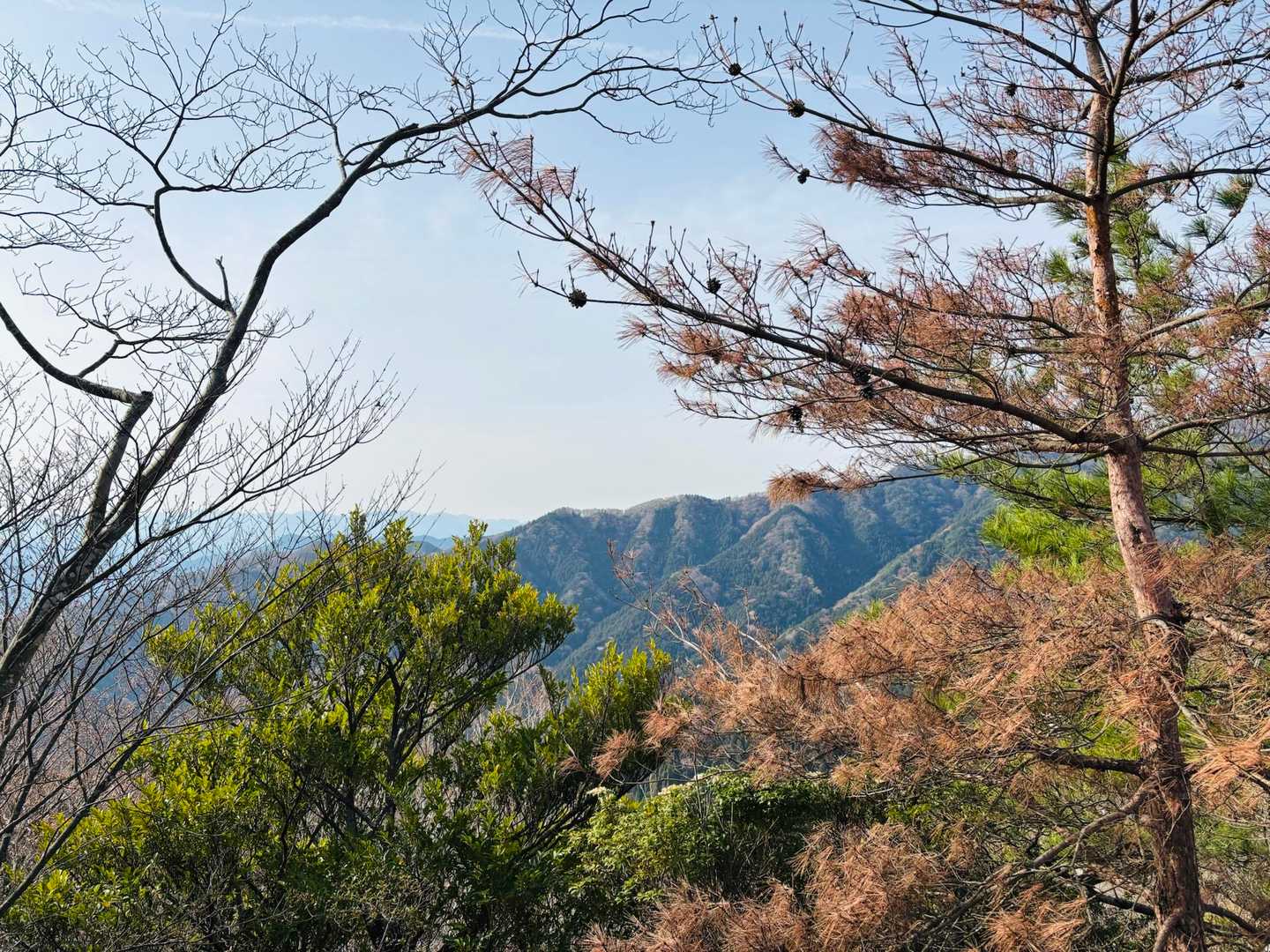 観音岳 往復コースの写真
