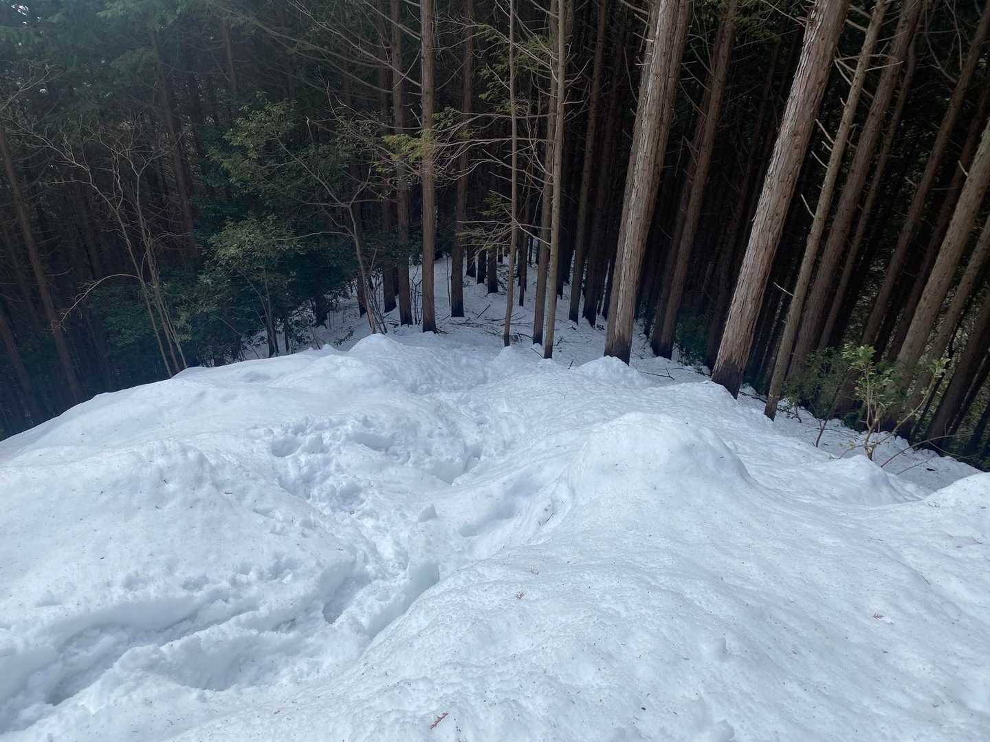 伝わらんけどなかなかの傾斜ですよ
