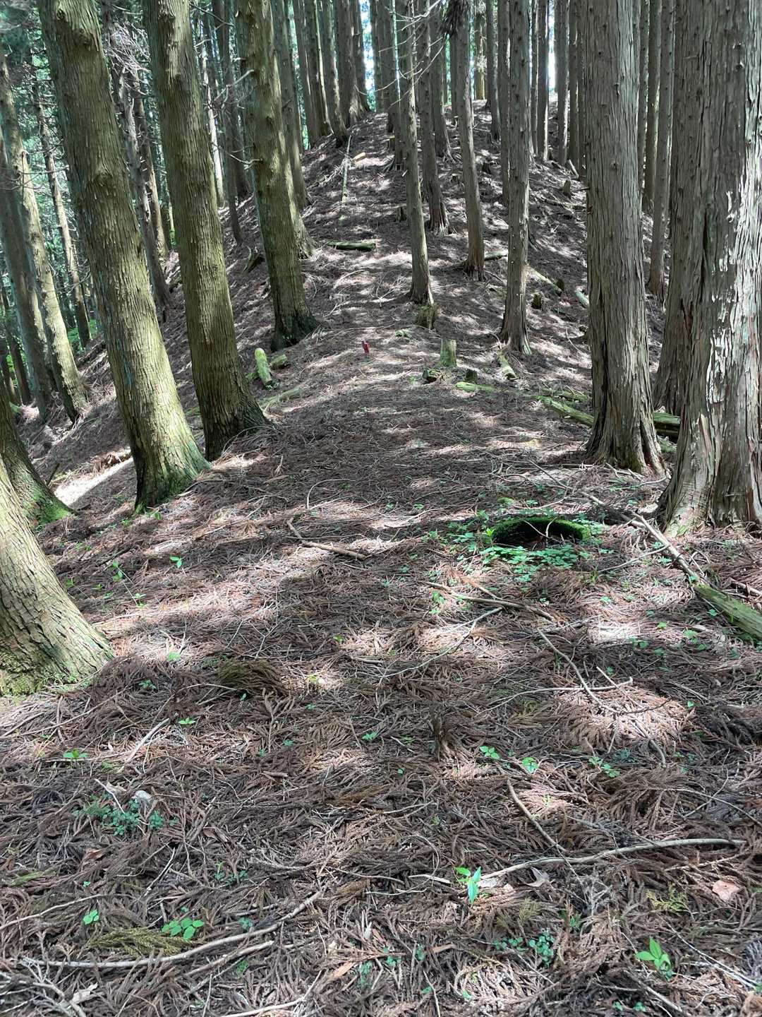 分岐点まで戻り三郡山へ向かいます🚶