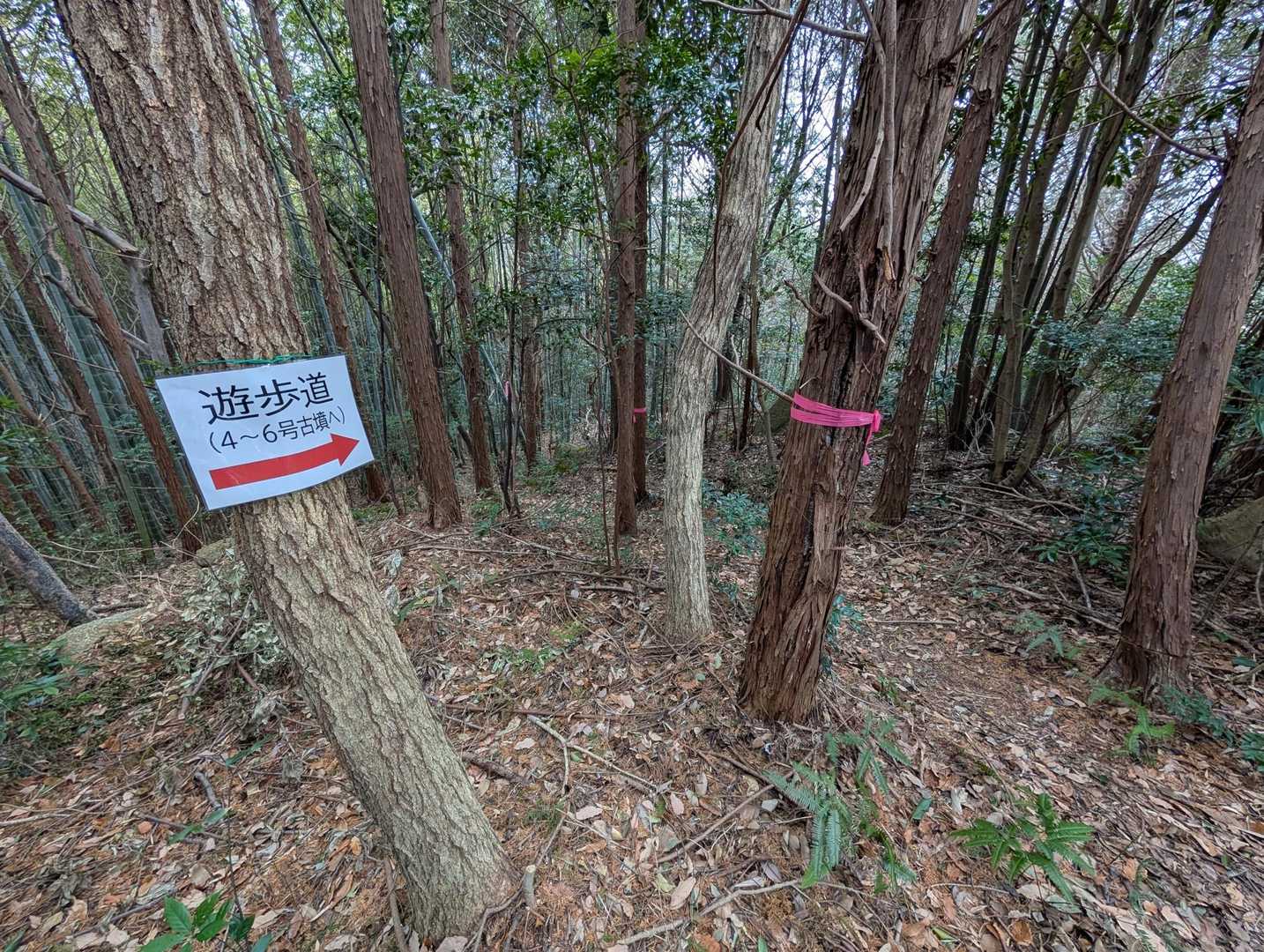 西側の古墳へ。