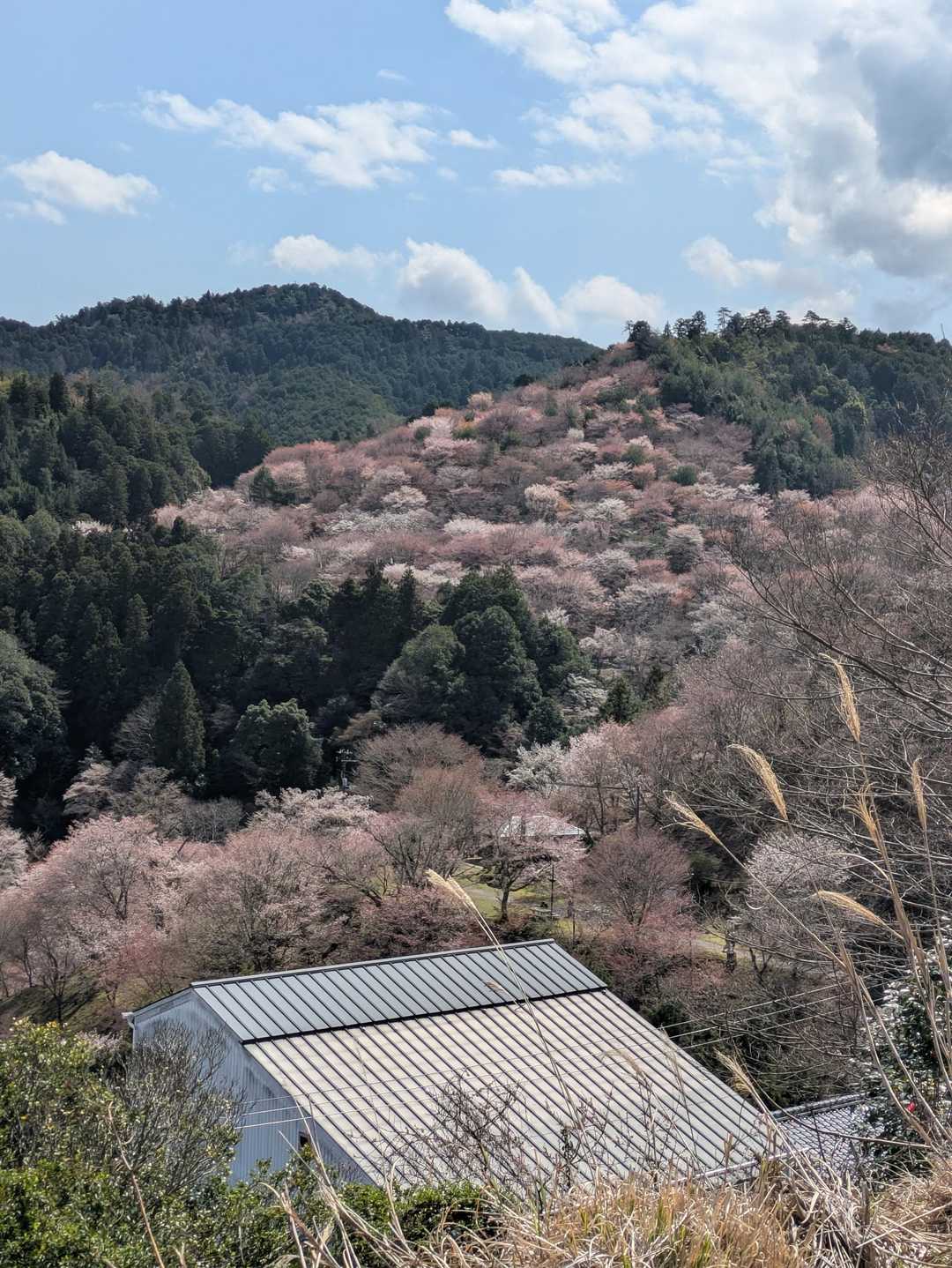 吉野駅-金峯山寺-韋駄天山-吉水神社-吉野水分神社-高城山 往復コースの写真