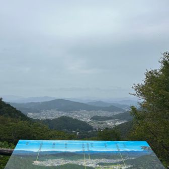 このモヤッと感も悪くない😌✨️