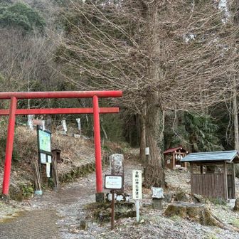 日連金剛山登山口
ここまでは道路歩き