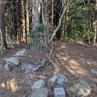 大平山。ルートから少し山の中へ入る。途中の山で唯一山頂の表示があった。