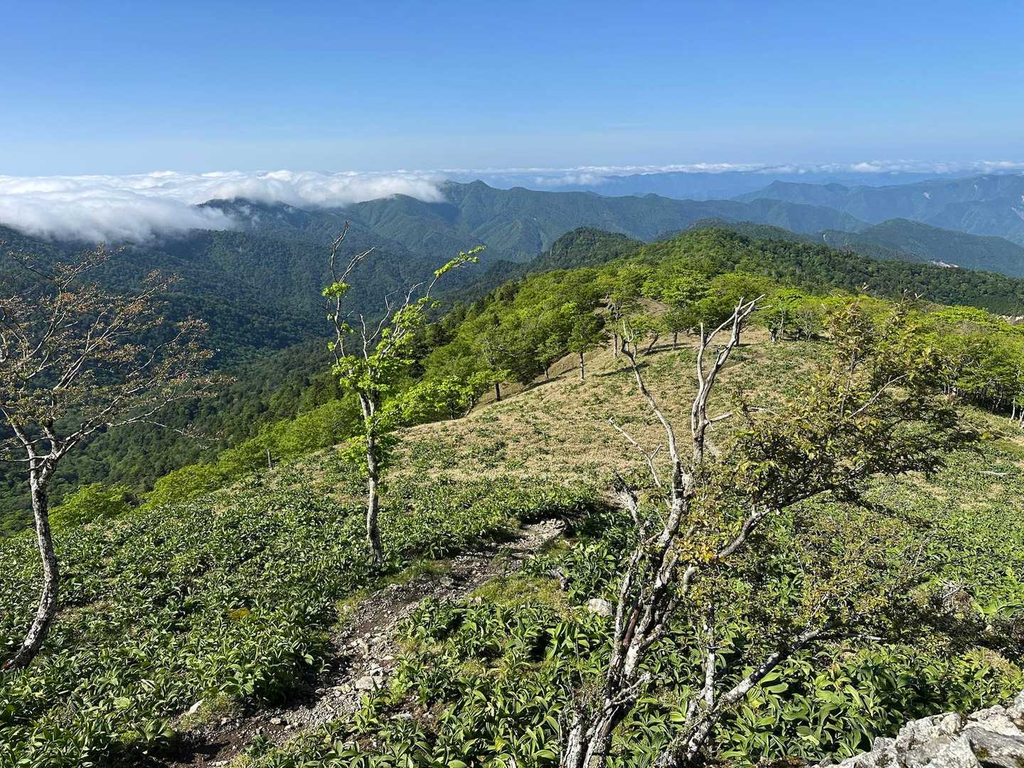 太尾登山口-古田ノ森-千丈平-釈迦ヶ岳-空鉢岳-椽ノ鼻-孔 往復コースの写真