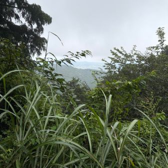 少しだけ景色が見えました