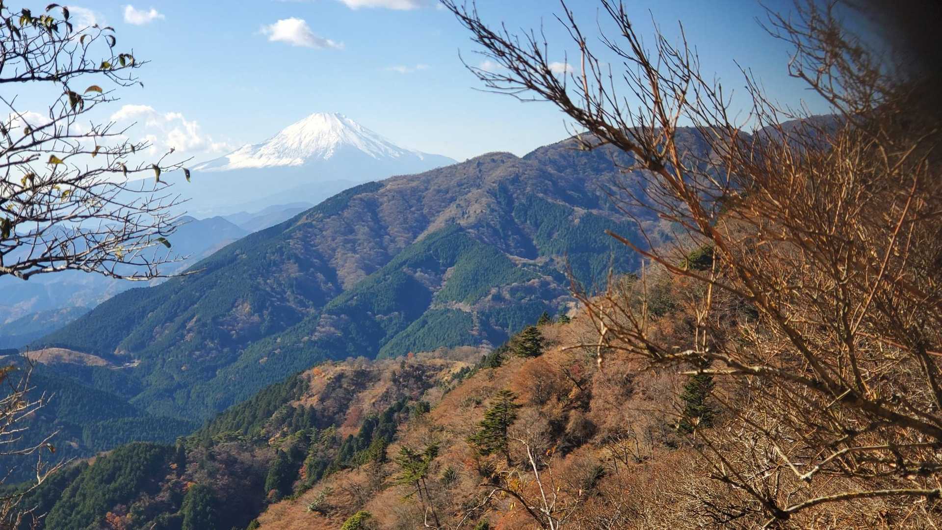富士山最高！