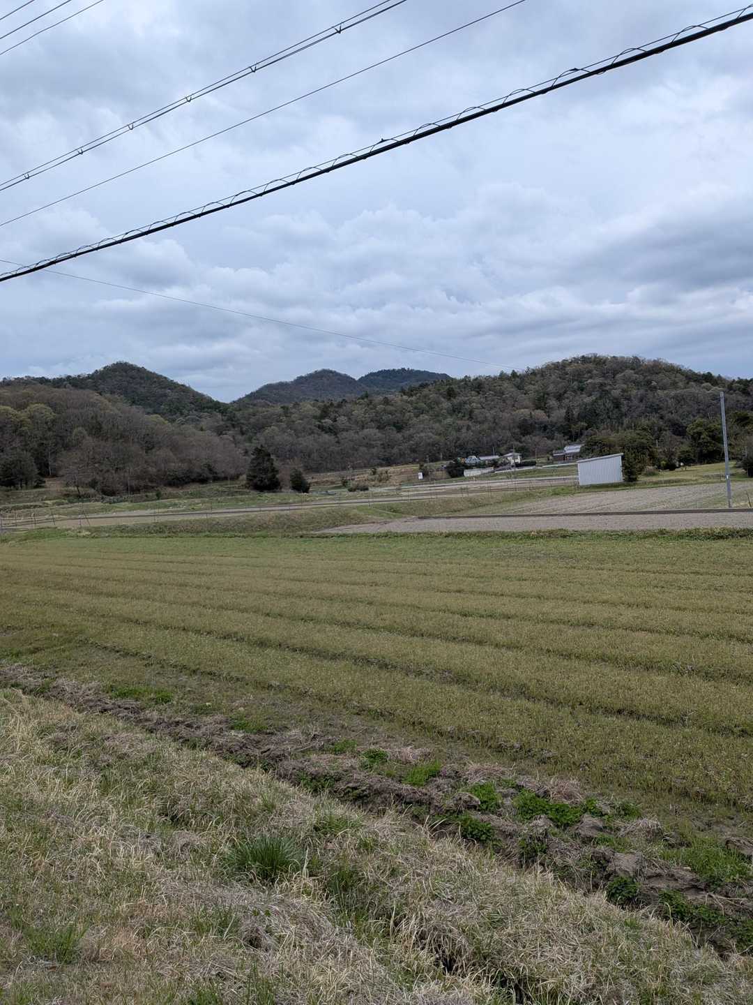 降りて来て、向こうに羽束山🫡