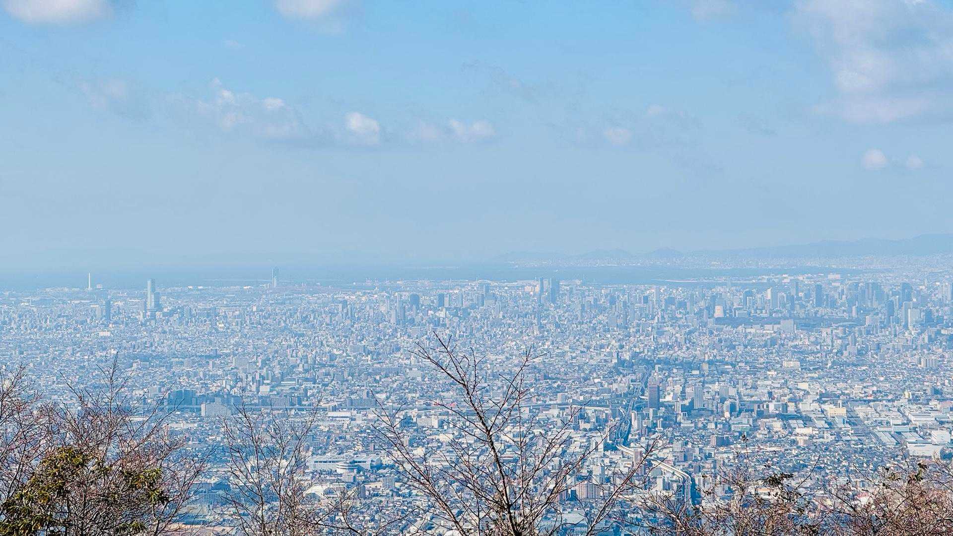 饒速日山 往復コースの写真