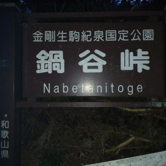 鍋谷峠到着。雨雲で月の明かりがほとんど無し