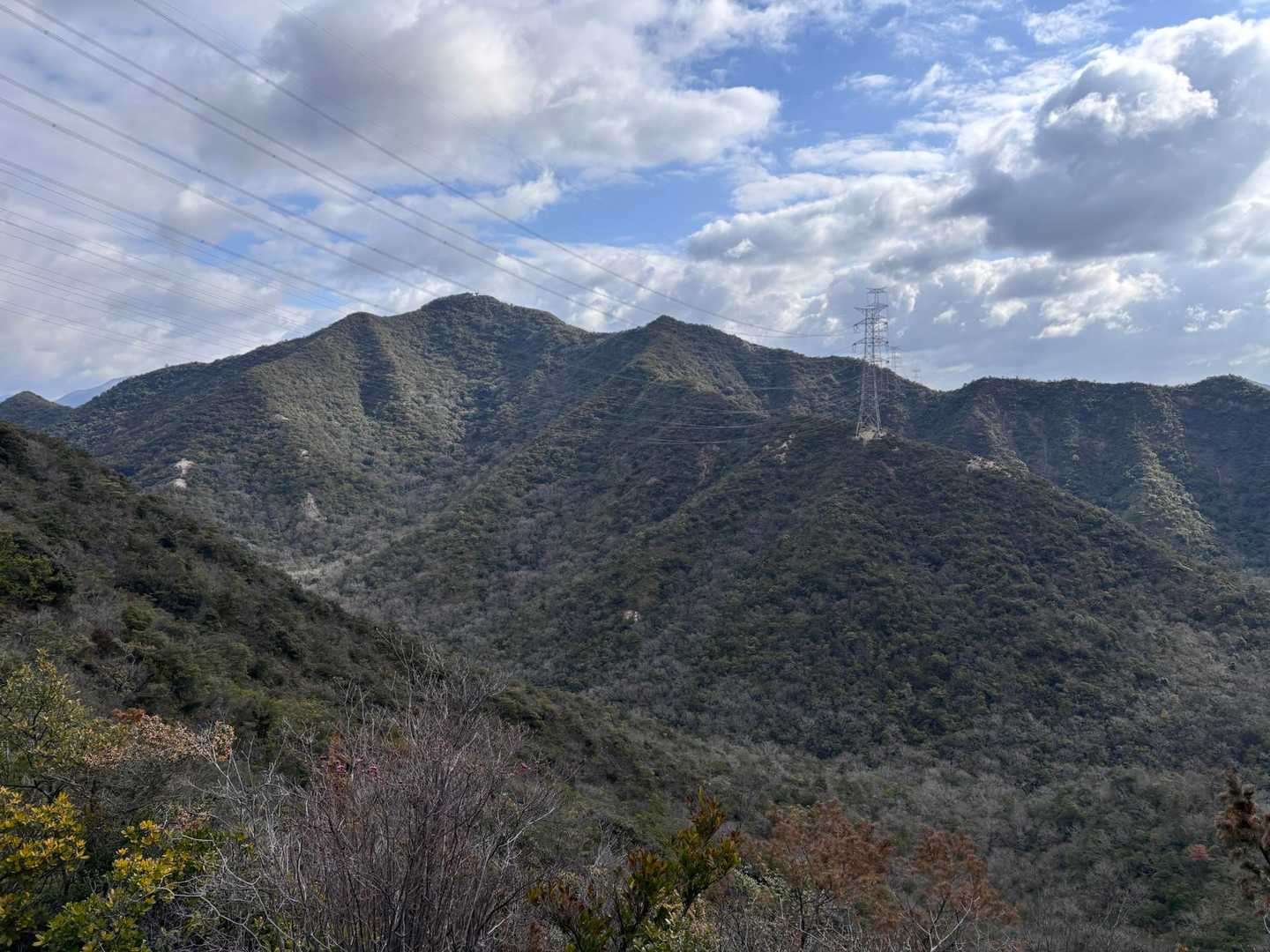 大坂山後ろに背山
左手の尾根を乗ってます