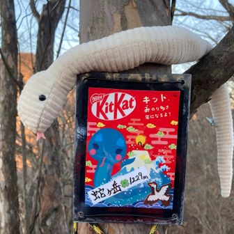 巳年も今日で終わりますが、沢山のお山に登れました☺️
皆様、ありがとうございました🐍✨