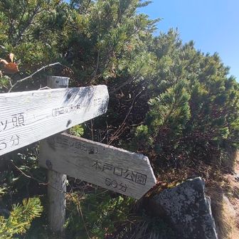 分かれ