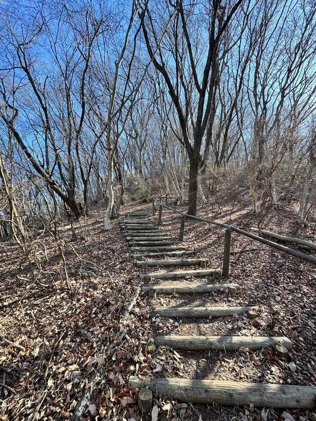 階段が整備されています。
地味〜にきつい😂